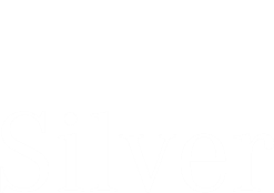 Silver Travel
