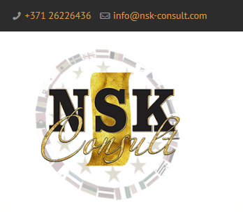 nsk-consult.com